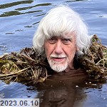 vithorejs