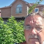 leafforlife